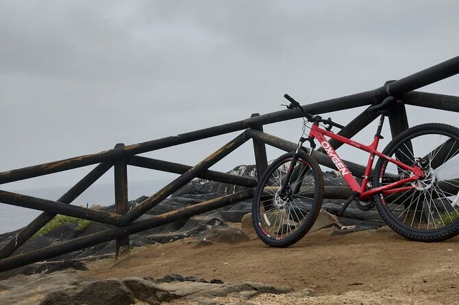 Bicycle ride along the coastal edge of Viña del Mar - What You’ll See Along the Way, Stop by Stop