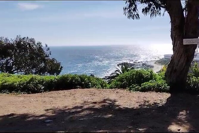 Bicycle ride along the coastal edge of Viña del Mar - How the Guide Style Changes the Whole Day