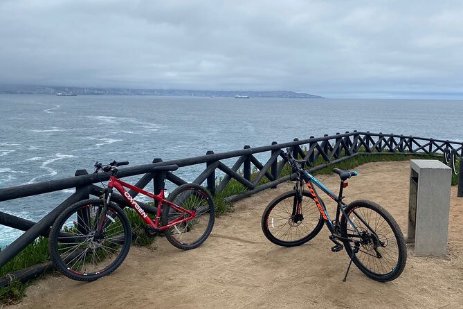 Bicycle ride along the coastal edge of Viña del Mar - Pacing, Fitness Level, and What “Low-Impact” Feels Like