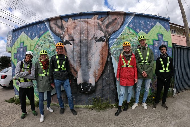Bike Tour in Punta Arenas, 100% local tour. - Bikes, Brakes, and Helmets: The Practical Safety Setup