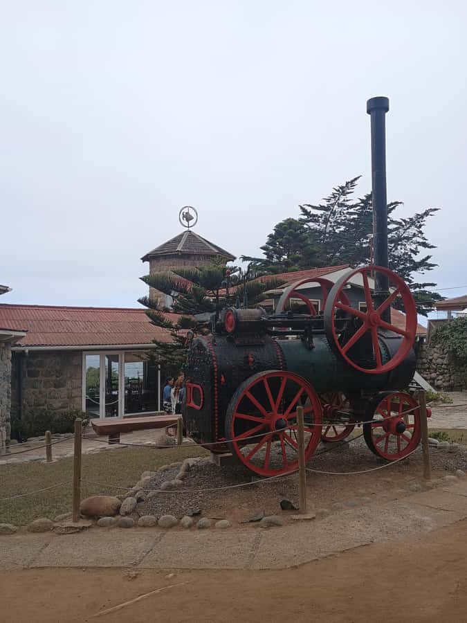 BLACK ISLAND AND CHILEAN WINE - Undurraga Vineyard: guided tour and tastings that justify the whole trip