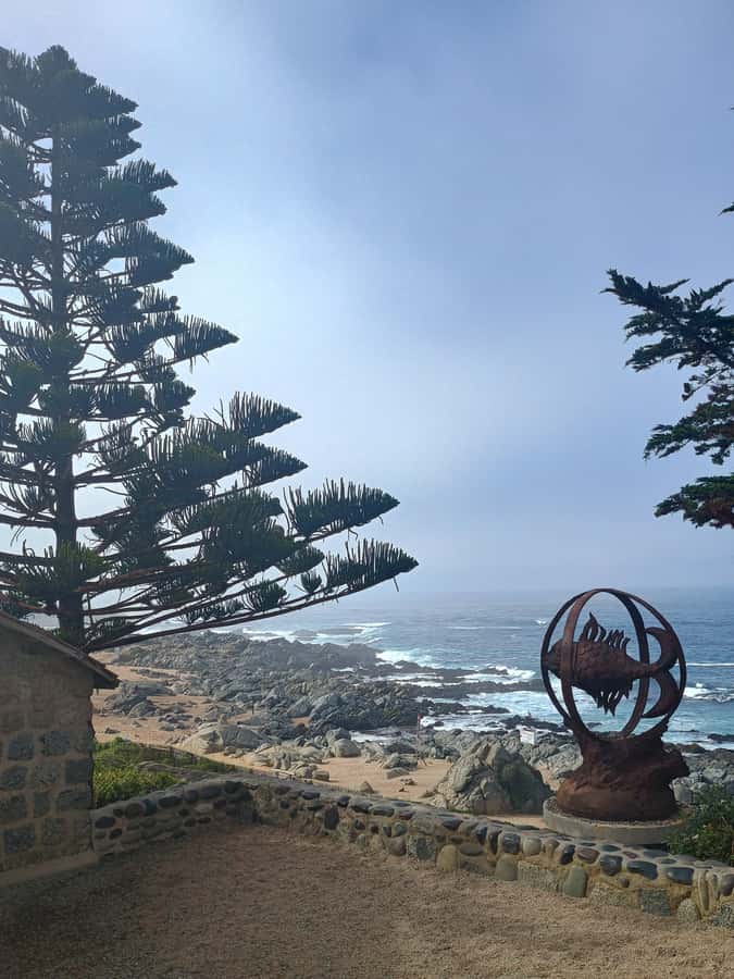 BLACK ISLAND AND CHILEAN WINE - Who should book this tour (and who should think twice)