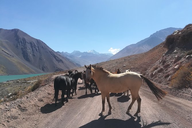 Cajon Del Maipo Including Wine with Picnic and Empanada - Maipo River Canyon and Yeso Area Viewpoints: Where the Scenery Takes Over