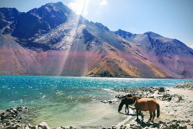 Cajon Del Maipo Including Wine with Picnic and Empanada - Group Size, Guides, and That All-Important Mountain Road Factor
