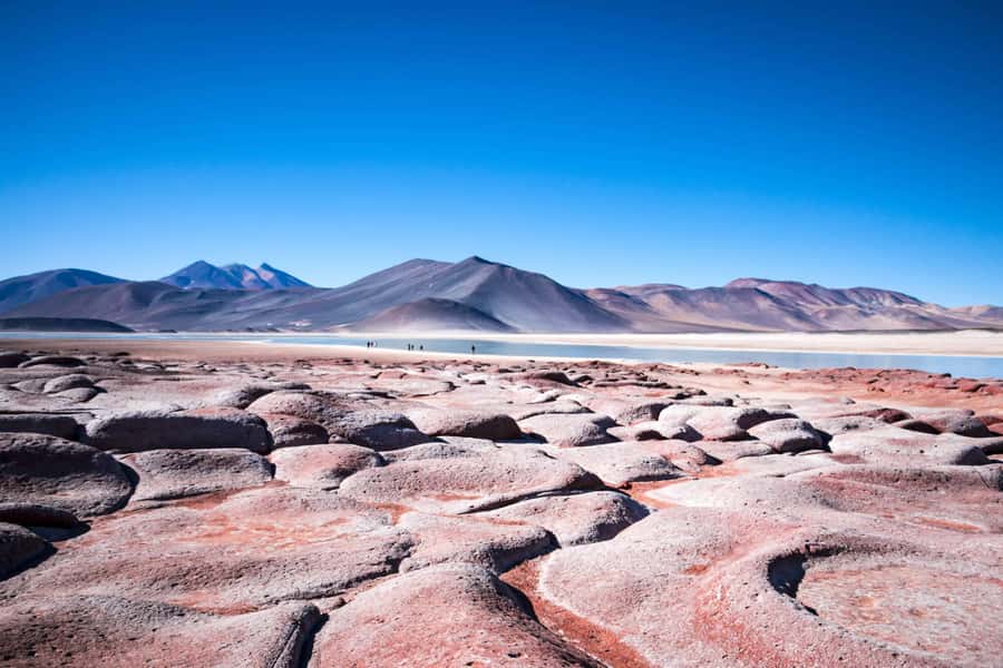 Caracoles: Red Stones of Atacama and Chaxa Guided Day Trip - Key Highlights Worth Your Day