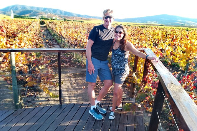 Casablanca Valley & Casa del Bosque - 3 Vineyards - Full day - Casablanca Valley Wine Day From Santiago, Made Simple