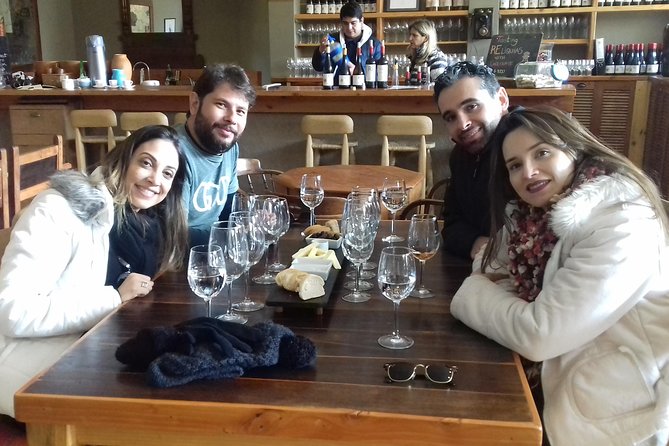 Casablanca Valley & Casa del Bosque - 3 Vineyards - Full day - What a Full Day Feels Like, From Pickup to the Return to Santiago