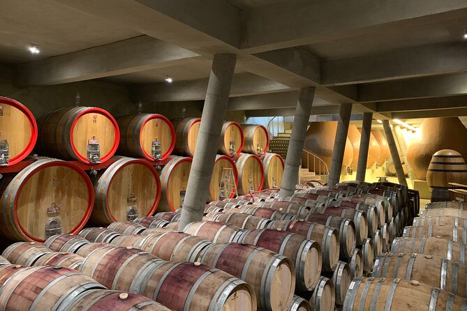 Casablanca Valley: Premium Wine Tour with LGBT+ Guide - Stop 1 in Casablanca Valley: Your Vineyard Choice for 3 Hours