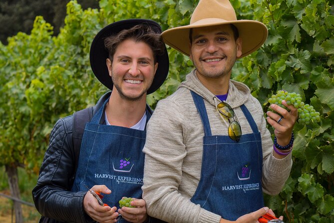 Casablanca Valley: Premium Wine Tour with LGBT+ Guide - Wine Tasting Included: How to Get the Most From the Pour