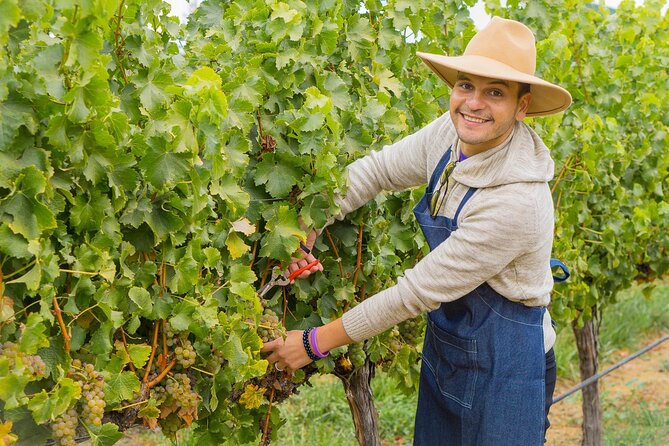 Casablanca Valley: Premium Wine Tour with LGBT+ Guide - Your LGBT+ Guide Experience With Pride Tours