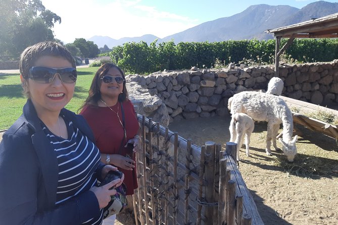 Casablanca Valley Wine tour + Valparaiso (small group tour) - Plaza Sotomayor: The Fast Start That Gets You Oriented
