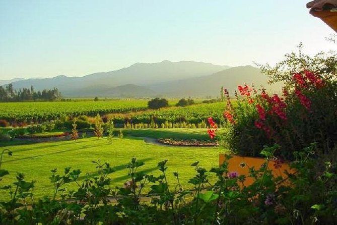 Casablanca Wine Tour with Valparaiso and Viña del Mar - Casablanca Valley winery tour: 1 hour, 3 tastings, and a real guide