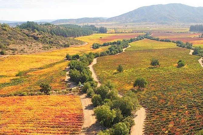 Casablanca Wine Tour with Valparaiso and Viña del Mar - Pickup and timing: the 9-hour rhythm with a 9:30 start