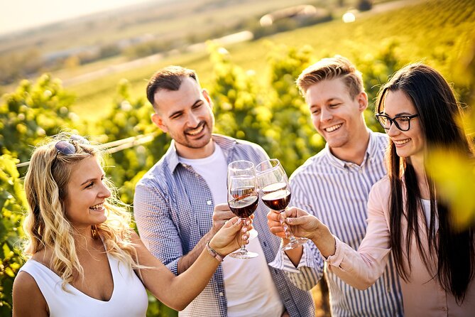 Casablanca world class wines, 4 vineyards & Tanino lunch stop - Key things to know before you go