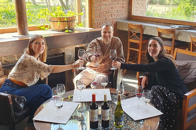 Casablanca world class wines, 4 vineyards & Tanino lunch stop - Casa Valle Viñamar: sparkling and still wines in the heart of Casablanca