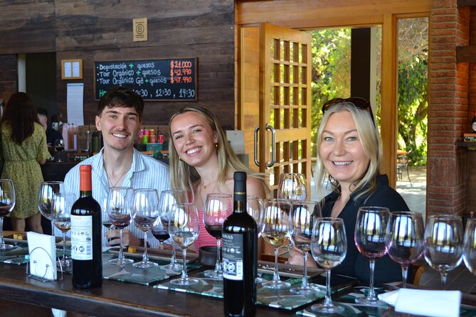 Casablanca world class wines, 4 vineyards & Tanino lunch stop - The flow of the day: 8:00 am to late afternoon