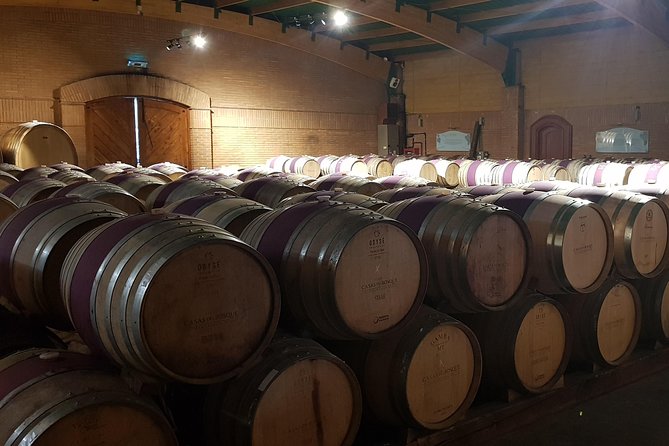 Casas del Bosque Winery + RE Wineries : Exclusive Tour + Transfer - Price and value: what $220 is really covering