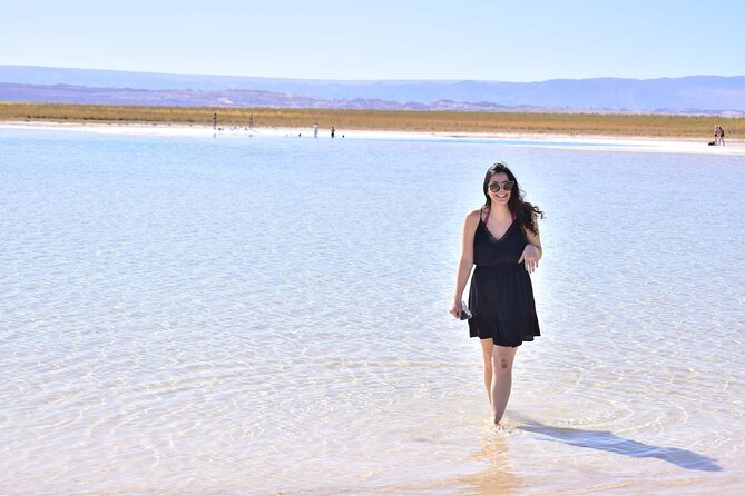 Cejar Eyes of the Salt Lake and Tebenquiche Lake Tour - Key highlights at a glance
