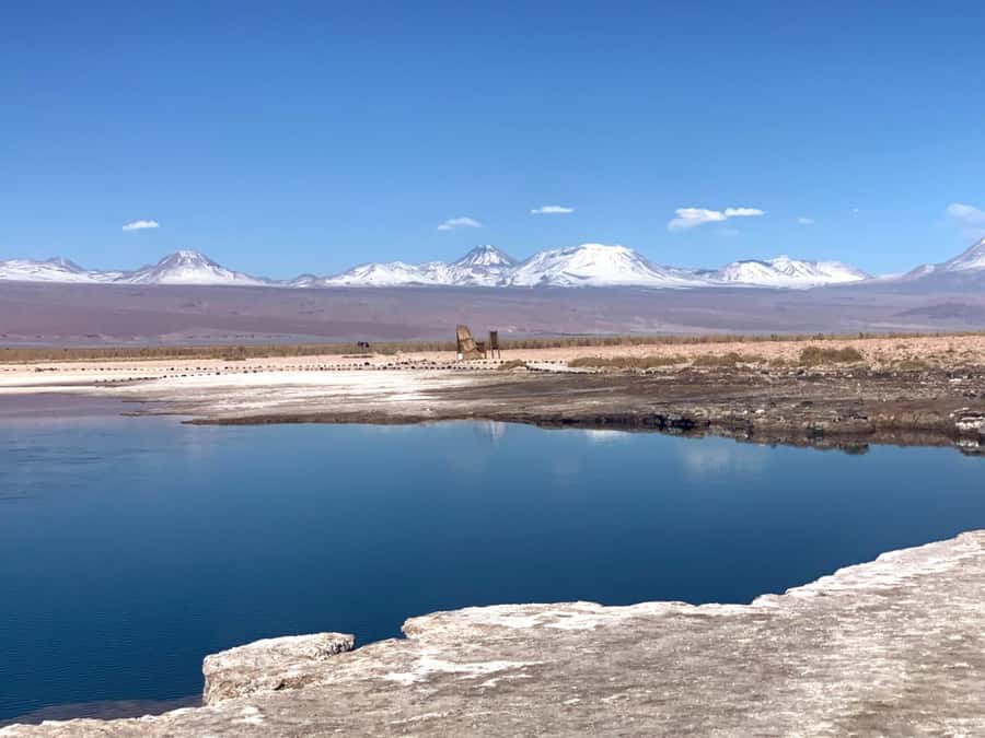 CEJAR LAGOON, OJOS DEL SALAR AND TEBINQUINCHE LAGOON - How this 4-hour lagoon circuit really plays out