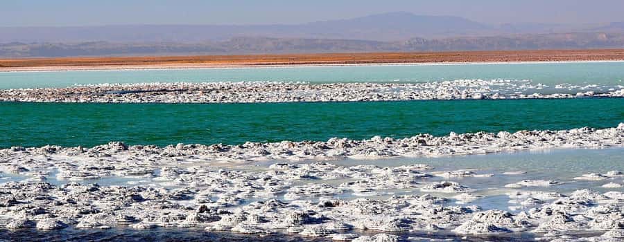 CEJAR LAGOON, OJOS DEL SALAR AND TEBINQUINCHE LAGOON - Laguna Piedra: same salt-flat magic, different feel