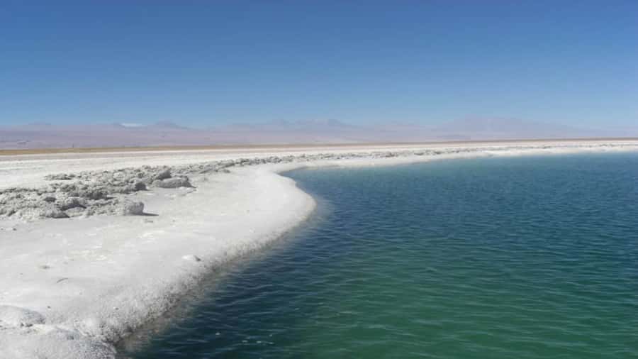 Cejar Lagoon, Tebenquiche Lagoon and Ojos del Salar - Why these Salar lagoons feel so different in one loop