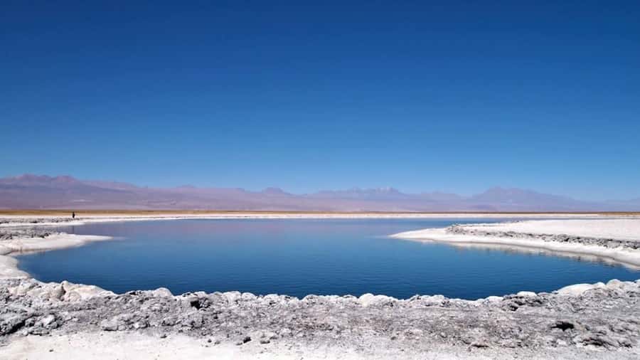 Cejar Lagoon, Tebenquiche Lagoon and Ojos del Salar - Laguna Cejar: turquoise water, floating fun, and a relaxing lesson in salt