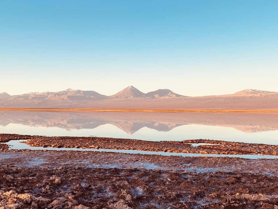 Cejar Lagoon Tour: San Pedro de Atacama - Price and what you actually pay (including the entry ticket)