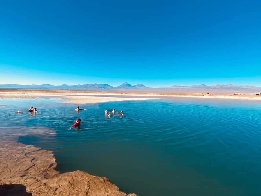 Cejar Lagoon Tour: San Pedro de Atacama - Laguna Cejar: floating in turquoise saltwater (and how to enjoy the swim)