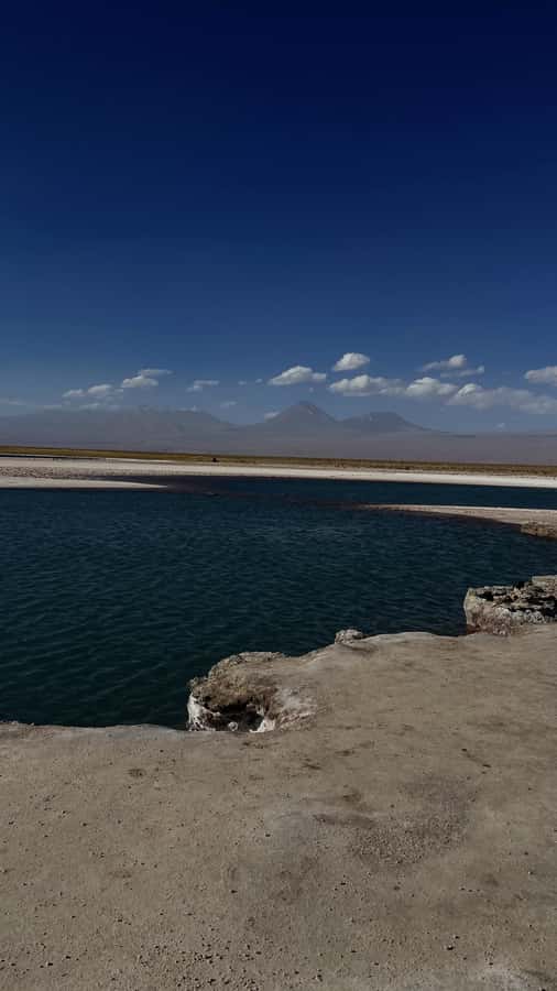 Cejar & Tebenquiche Lagoons Tour with Ojos del Salar Atacama - A half-day of saltwater floats and freshwater eyes in the Atacama