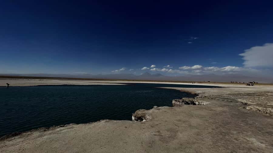 Cejar & Tebenquiche Lagoons Tour with Ojos del Salar Atacama - The guided value: what the commentary should do for you