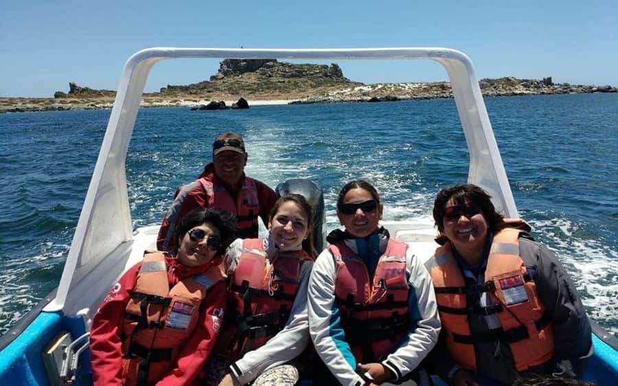 Chañaral de Aceituno boat ticket - Key highlights at a glance