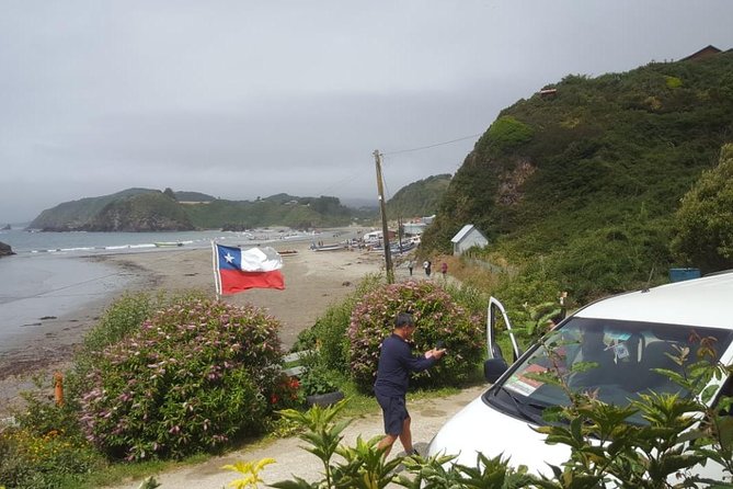 Chiloe Island - Puñihuil Tour - Chiloé’s northern route: Chacao Channel and coastal wildlife moments