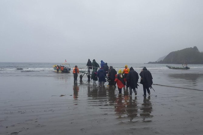 Chiloe Island - Puñihuil Tour - Loneliest beach, biggest ocean: how the scenery part is timed to feel worth it