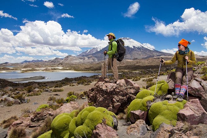 Chungara Lake - A 9-person day trip built for the altitude