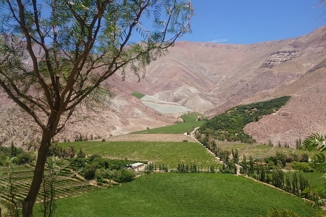 Classic Elqui Valley (Between vineyards and fruit trees) - Key things to know before you go