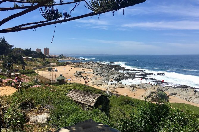 Coastal Charms and Vineyard Bliss with Isla Negra & Undurraga - Who Should Book This Tour