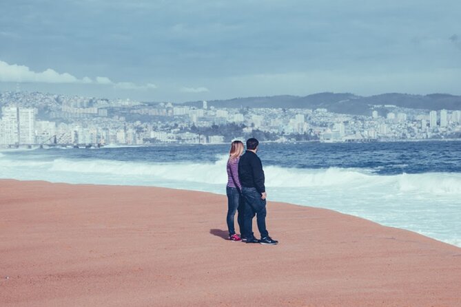 Coastal Gems: Viña del Mar & Valparaíso - Casablanca Valley: the short 1-hour wine stop that works best for quick tastings
