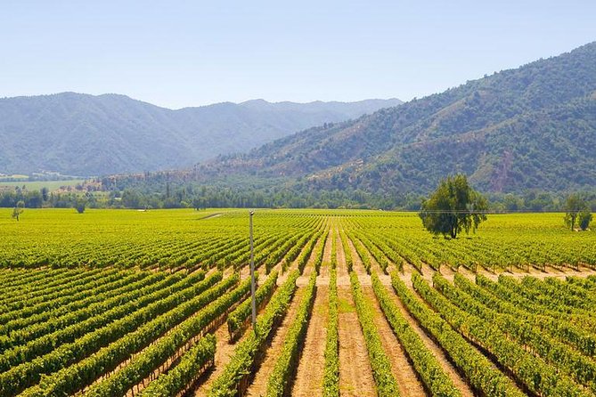 Colchagua Full Day Wine Tour: Casa Silva & L'Apostolle Wineries - Key Things I’d Plan Around
