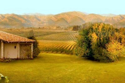 Colchagua Full Day Wine Tour: Casa Silva & L’Apostolle Wineries