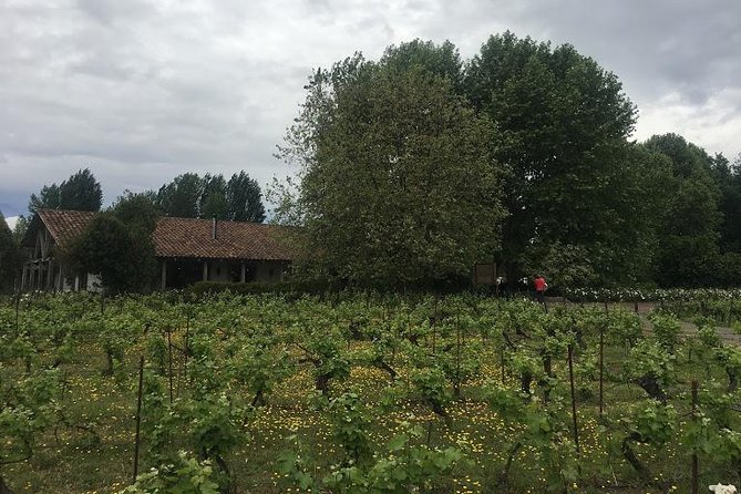 Colchagua Valley - From Santiago to wine country: transport that reduces stress