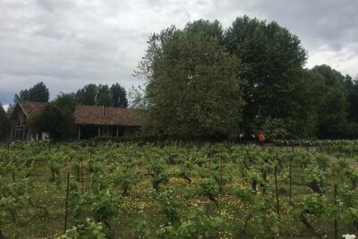 Colchagua Valley