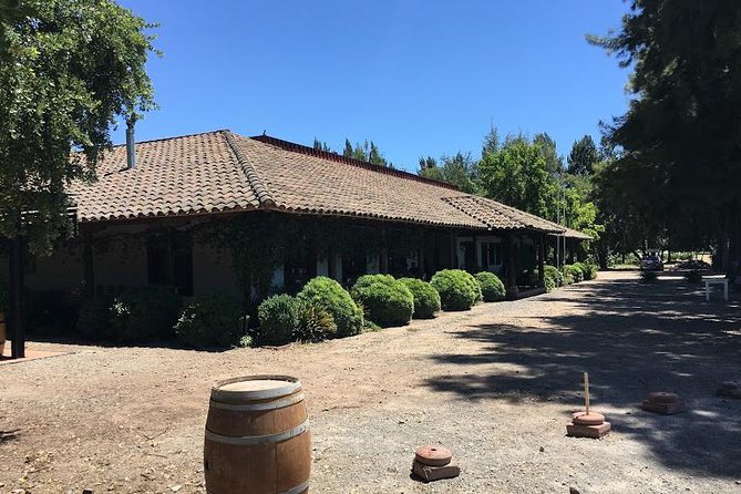 Colchagua Valley - The core experience in Colchagua: tastings, history you can taste, and real vineyard time