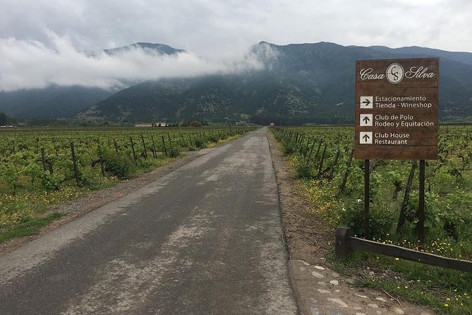 Colchagua Valley - The custom route: how your preferences can change the day