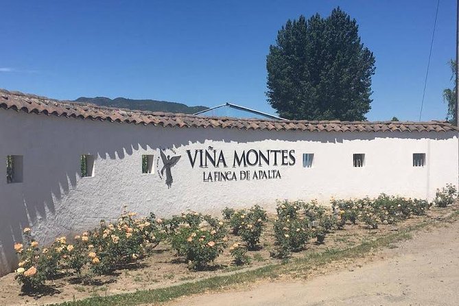 Colchagua Valley - Who this tour fits best