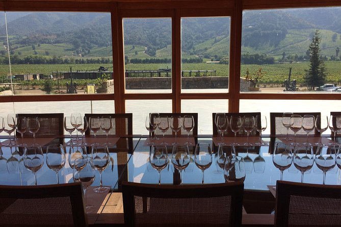 Colchagua Valley Experience - Vina Neyen de Apalta: heritage vines and included admission