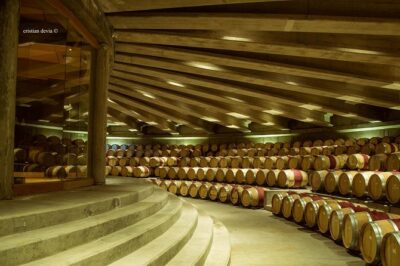 Colchagua Valley Experience