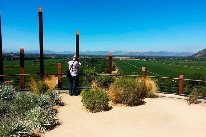 Colchagua Valley Experience - Vina Montes: award-winning production and a big-deal tasting