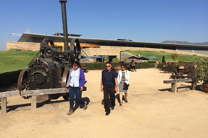 Colchagua Valley Experience - Stairs, comfort, and how to plan for vineyard walking