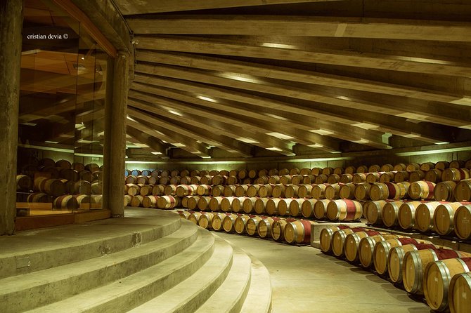 Colchagua Valley Experience - First winery stop: a famous premium-wine vineyard to set the tone