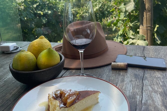 Colchagua Valley Private Tour: Montes + Clos Apalta - Key highlights at a glance